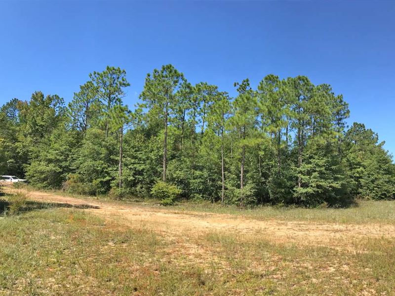 Hutto Tract : Jay : Santa Rosa County : Florida