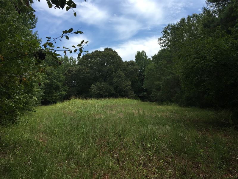 90+/- Acre, Farm with House : Donalds : Abbeville County : South Carolina