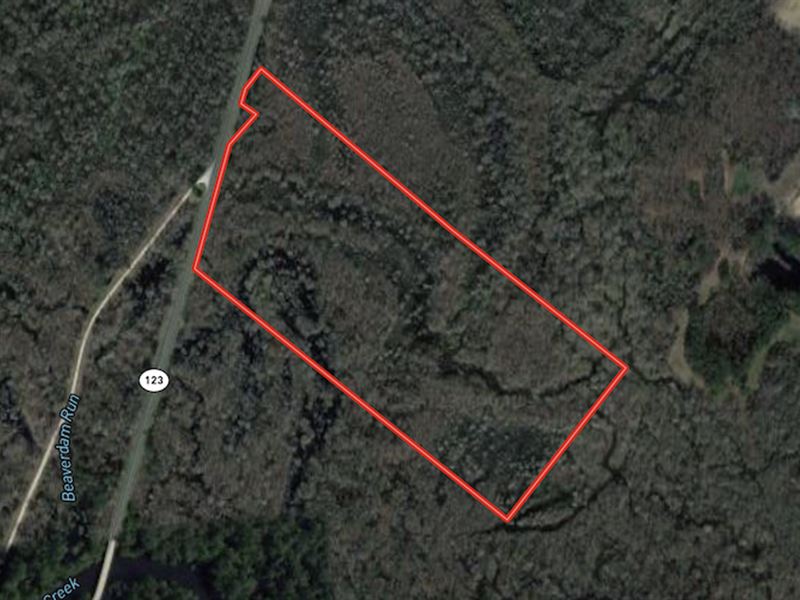 36 Acre Waterfron : Hookerton : Greene County : North Carolina