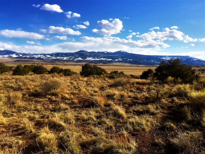 40 Acres in Rio Bravo Ranch : Del Norte : Rio Grande County : Colorado