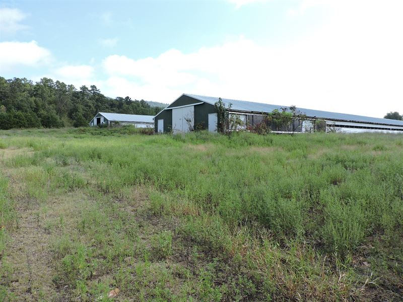 Poultry Farm Potential with Land : Waldron : Scott County : Arkansas