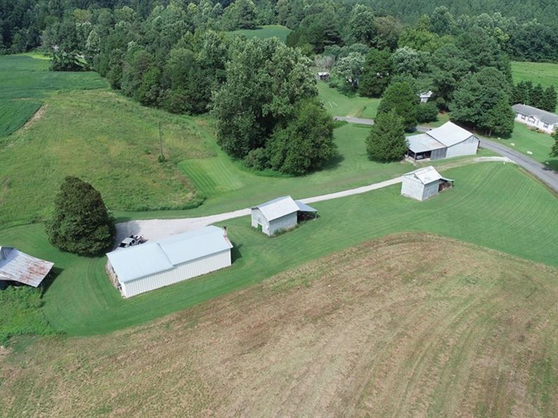 Exceptional Farm in Southern VA : South Hill : Lunenburg County : Virginia