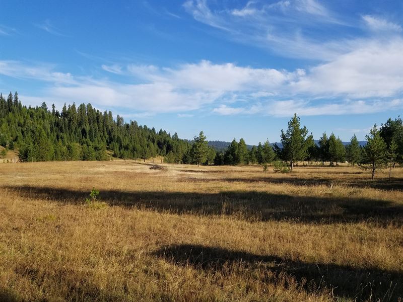 Elk City Idaho Land, Recreational, Ranch for Sale in Idaho, 174369