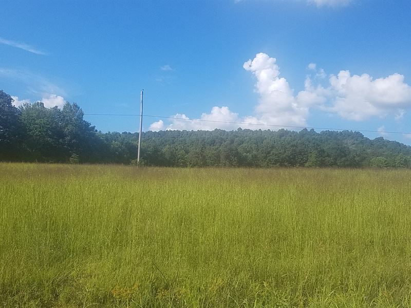 Land for Sale in Kentucky : Dunnville : Casey County : Kentucky