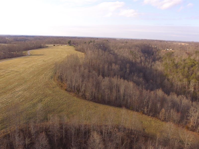54 Acres Approx, 20 Acres Cleared : Liberty : Casey County : Kentucky