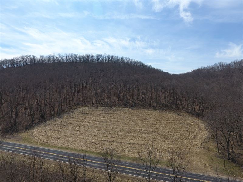 18 Acres Vacant Land for Sale in WI : Viroqua : Vernon County : Wisconsin