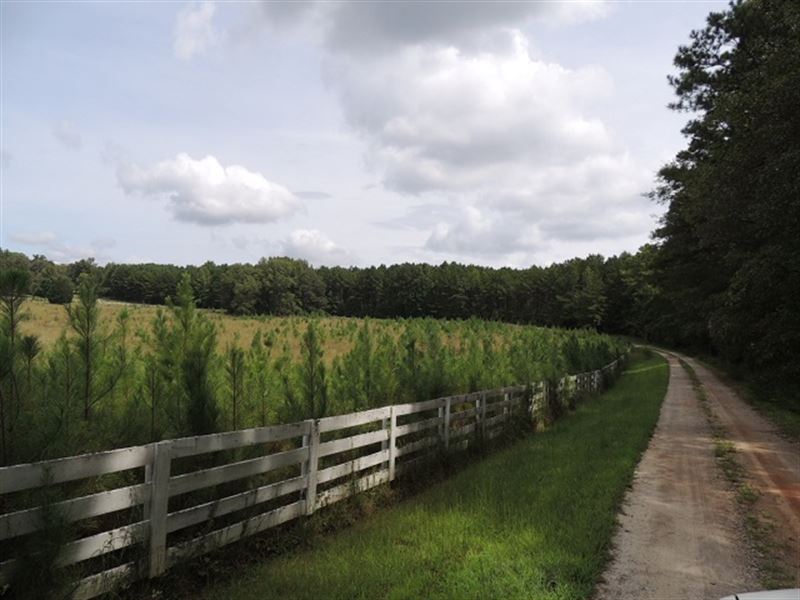 71.6 Ac At 4830 Gordon Road : Senioa : Coweta County : Georgia