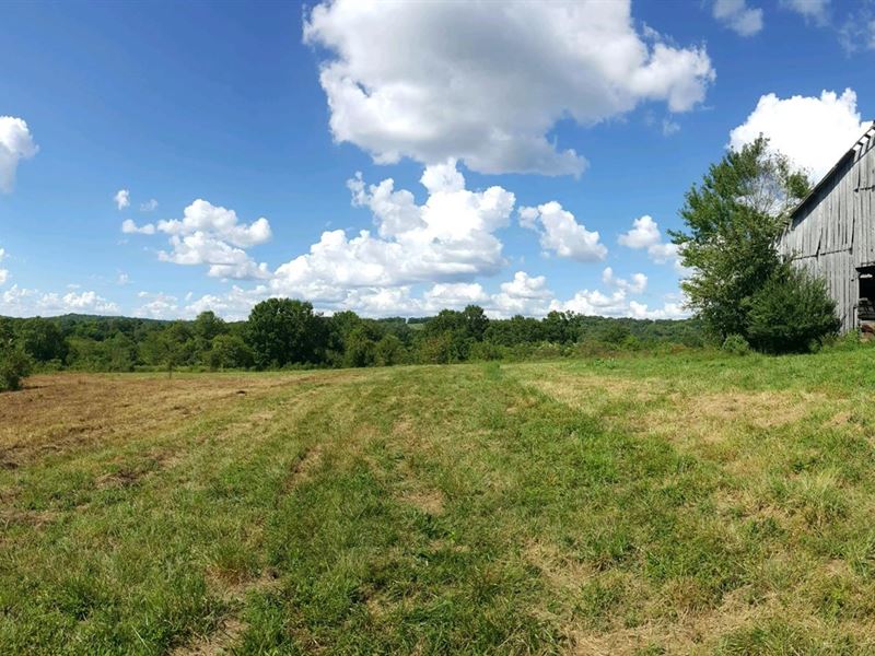 162 Acres to be Auctioned : Williamsport : Maury County : Tennessee