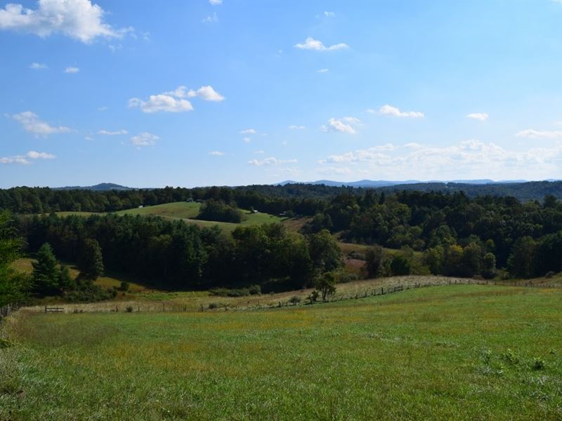 Farm Land at Auction in Floyd VA : Floyd : Floyd County : Virginia