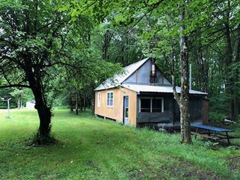 Camp Line Brook Plus Acreage : Osceola : New York County : New York