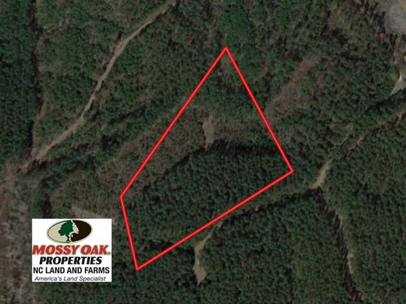 Reduced, 12 Acres of Residential : Moncure : Chatham County : North Carolina
