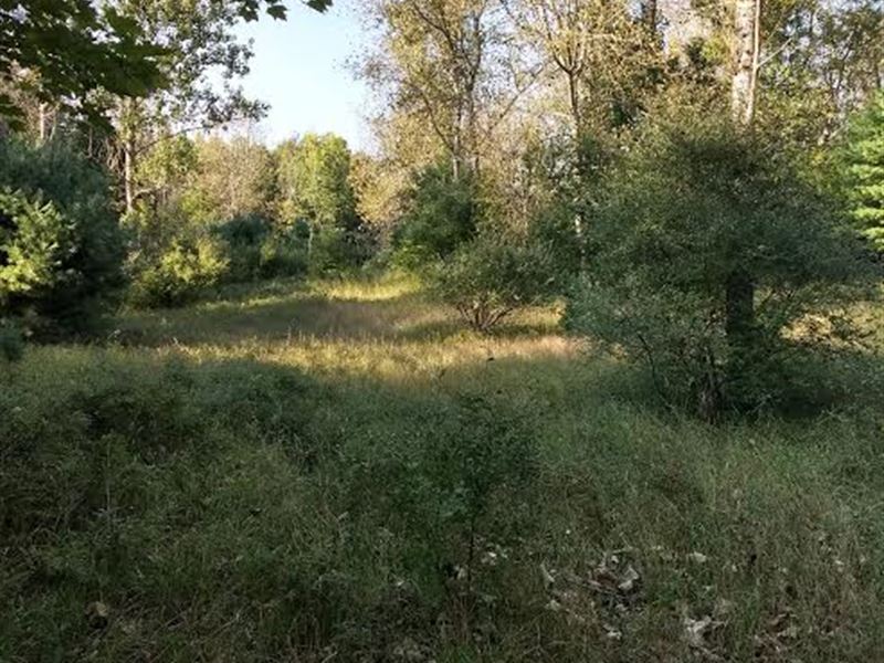 Let's Go Huntin' : Kaleva : Manistee County : Michigan