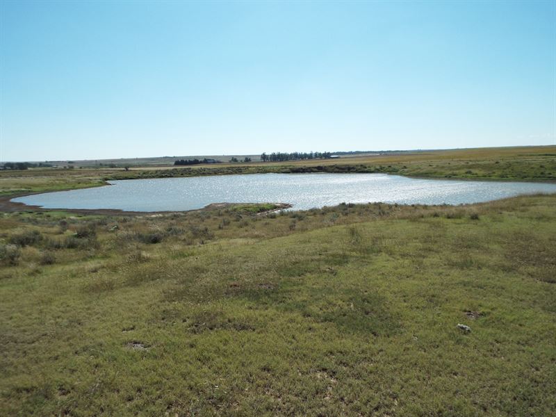 600 Acres Cropland, Grassland, Pond : Rosston : Harper County : Oklahoma