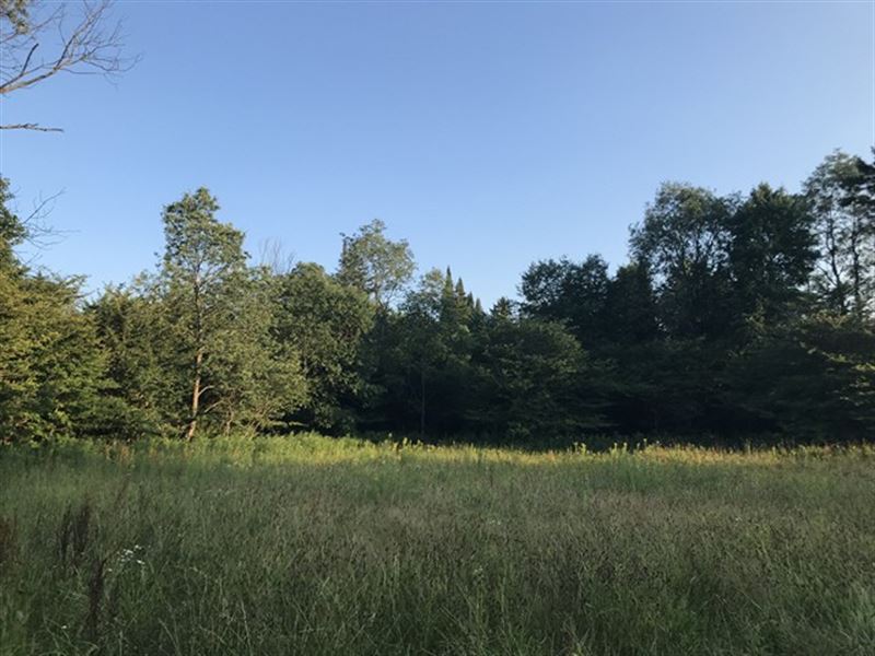 Affordable Tug Hill Acreage : West Turin : Lewis County : New York