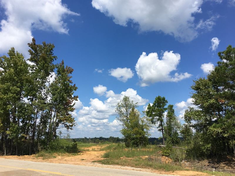 45.25 Acres in Calhoun County, MS : Big Creek : Calhoun County : Mississippi