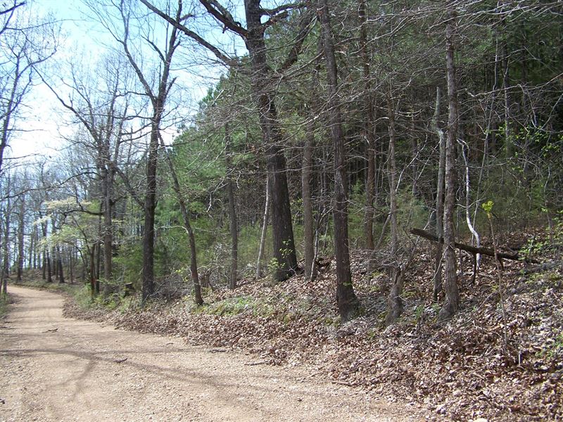 Arkansas Hunting & Recreational : Harriet : Searcy County : Arkansas