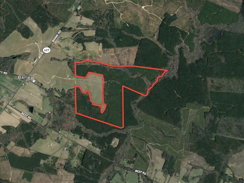 161 Acres of Timb : Emporia : Greensville County : Virginia