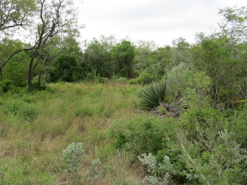 Duval County, Hunting/Recreational : San Diego : Duval County : Texas