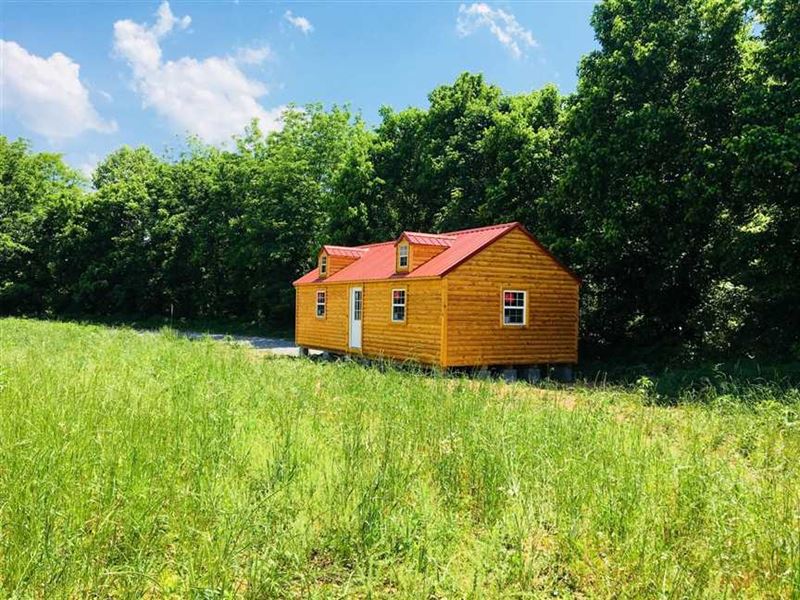 272 Beautifully Wooded Acres With : Marrowbone : Metcalfe County : Kentucky