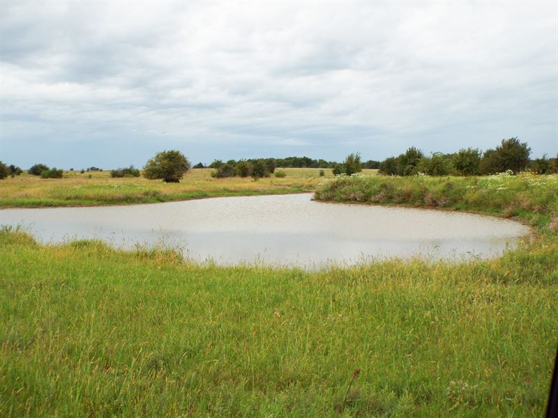 240 Acres Cropland, Grassland, Pond Ranch Auction in Lamont, Oklahoma