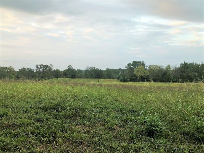 Coldwater Creek Farm Ranch for Sale in Elberton, Elbert County, 175568 ranchflip