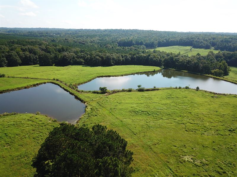 Durbin Homestead Farm Ranch for Sale in Clanton, Chilton County