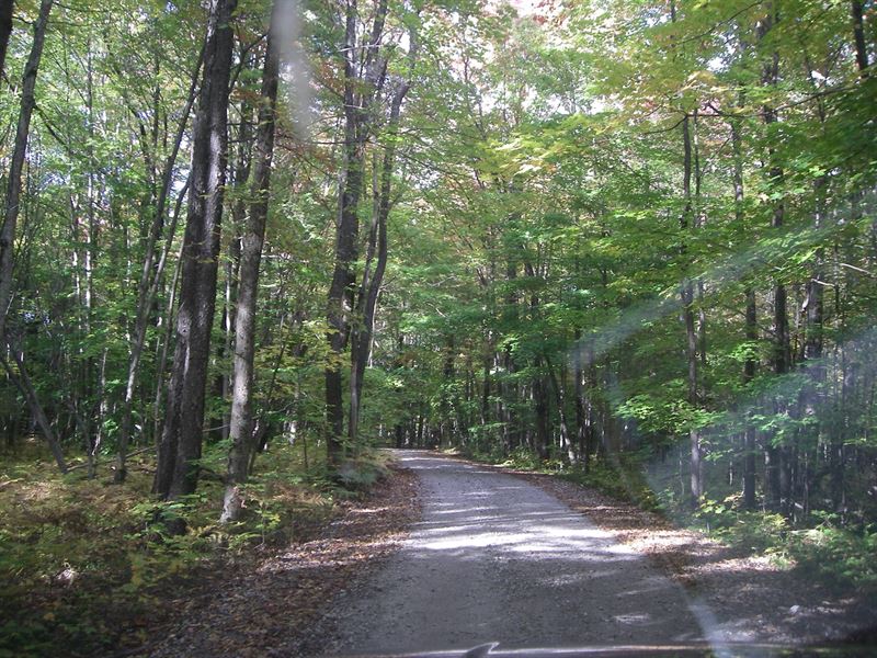 13 Acres Recreational Land in Diana : Harrisville : Lewis County : New York
