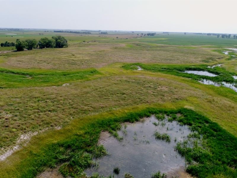 68.39 Acres in Sanborn County Sd : Letcher : Sanborn County : South Dakota