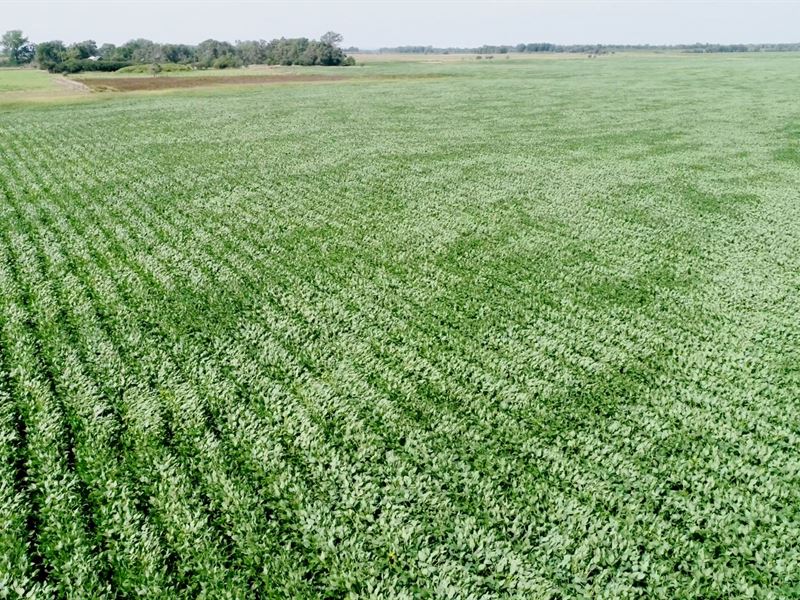63.39 Acres in Sanborn County Sd : Letcher : Sanborn County : South Dakota