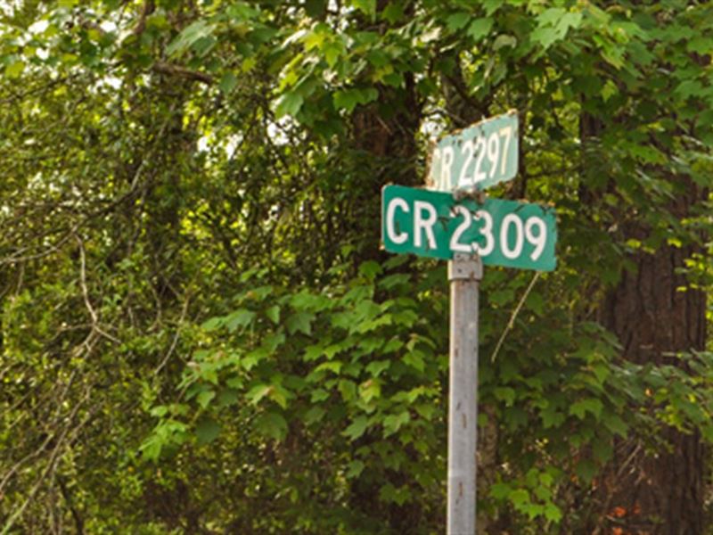 101 Ac Cr 2297 : Cleveland : Liberty County : Texas