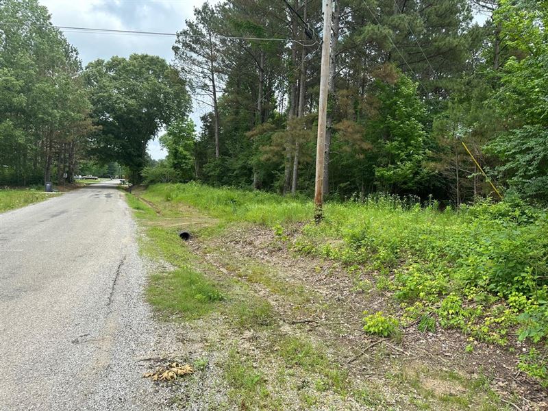 101 Acres in Union County : Myrtle : Union County : Mississippi