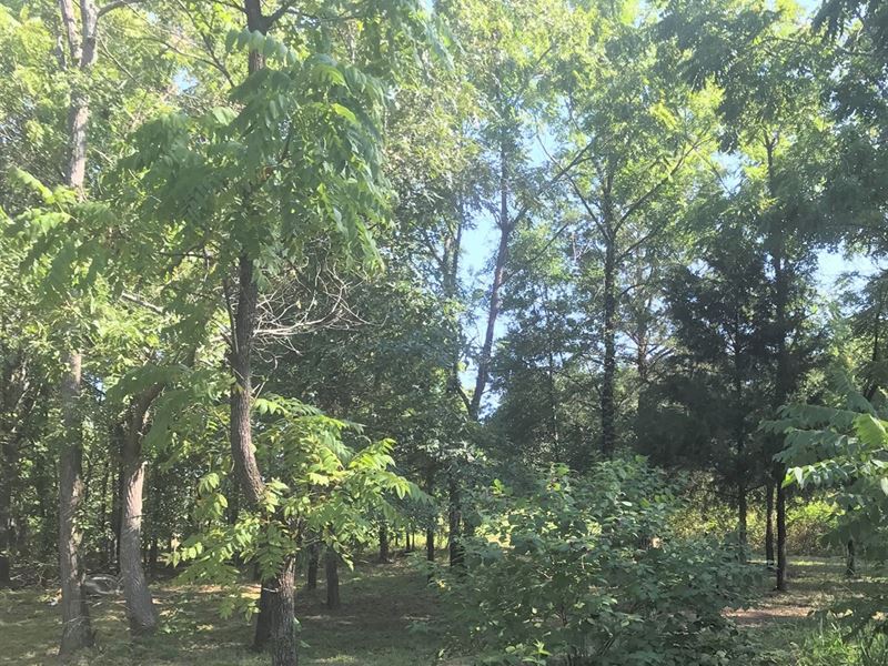 Hunting Land & Cabin Southeast : Farris : Atoka County : Oklahoma