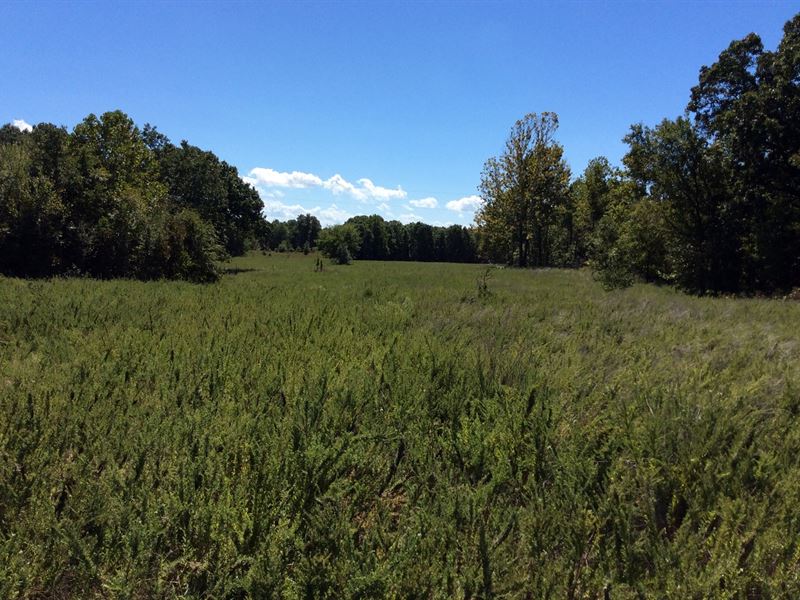 385 Acres for Hunting : Locust Grove : Mayes County : Oklahoma