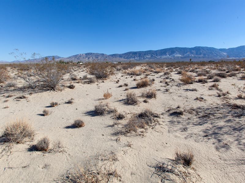 10 Acres Hi Desert Lucerne Parcel : Lucerne Valley : San Bernardino County : California