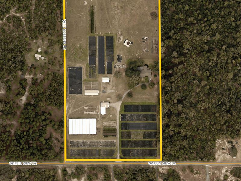 Griffin View Nursery : Lady Lake : Lake County : Florida