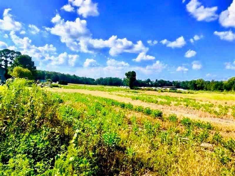 Beaufort County Nc Farm for Sale : Chocowinity : Beaufort County : North Carolina