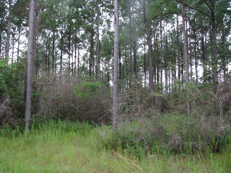 Escambia 39 : Brewton : Escambia County : Alabama