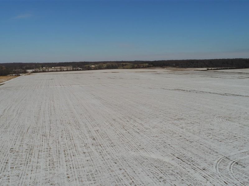226 Ac, Top Quality Row Crop : Cainsville : Harrison County : Missouri