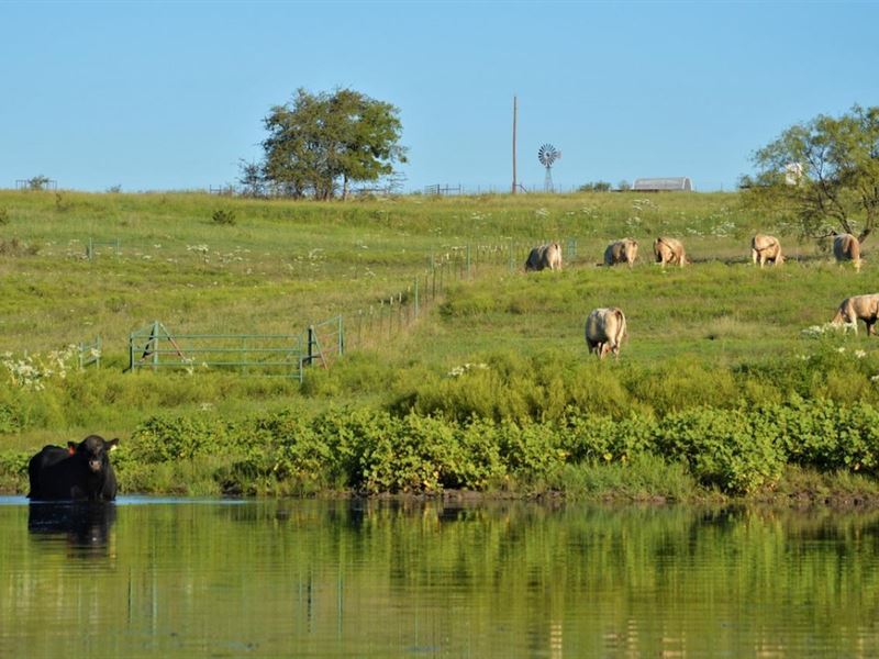 River Ranch at Hico, Ranch for Sale in Texas, 177494 RANCHFLIP