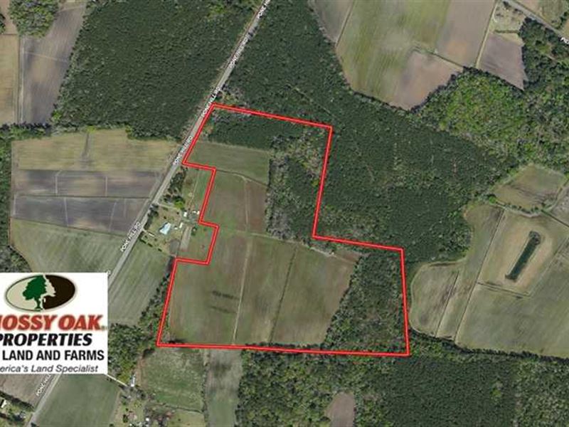 47 Acres of Farm and Hunting Land : Hallsboro : Columbus County : North Carolina