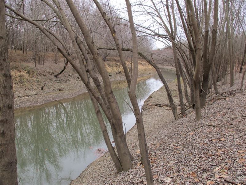 A Hunter's Paradise : Equality : Saline County : Illinois