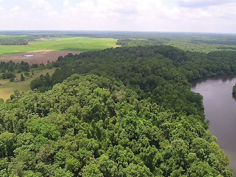 Shell Bluff Plantation On The River : Waynesboro : Burke County : Georgia