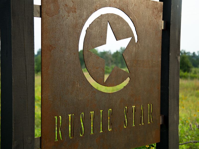 24.21 Ac Rustic Star T-8 : Midway : Walker County : Texas