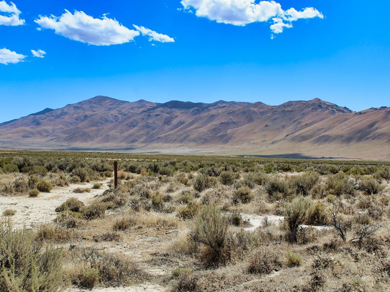 Military Discount Ranch Land : Herlong : Lassen County : California