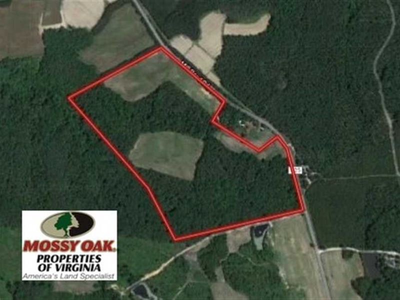 45 Acres of Farm and Timber Land : Saxe : Charlotte County : Virginia