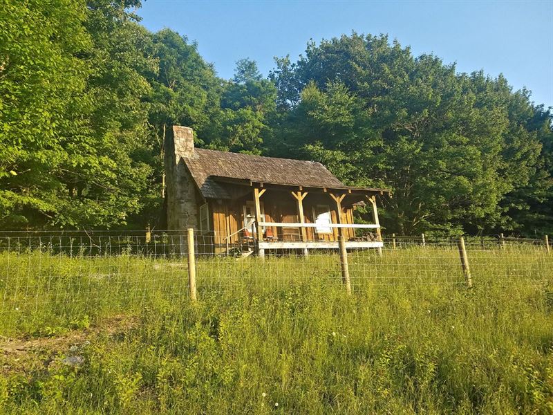 Rustic Cabin 10 Acres Burke's : Tazewell : Tazewell County : Virginia