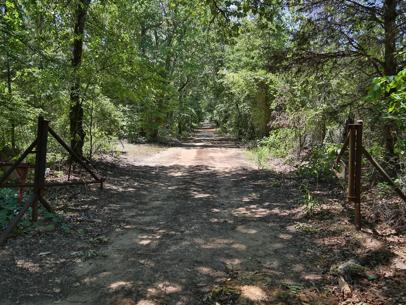 97 Ac Off Azalea Rd Indian Rock : Gilmer : Upshur County : Texas