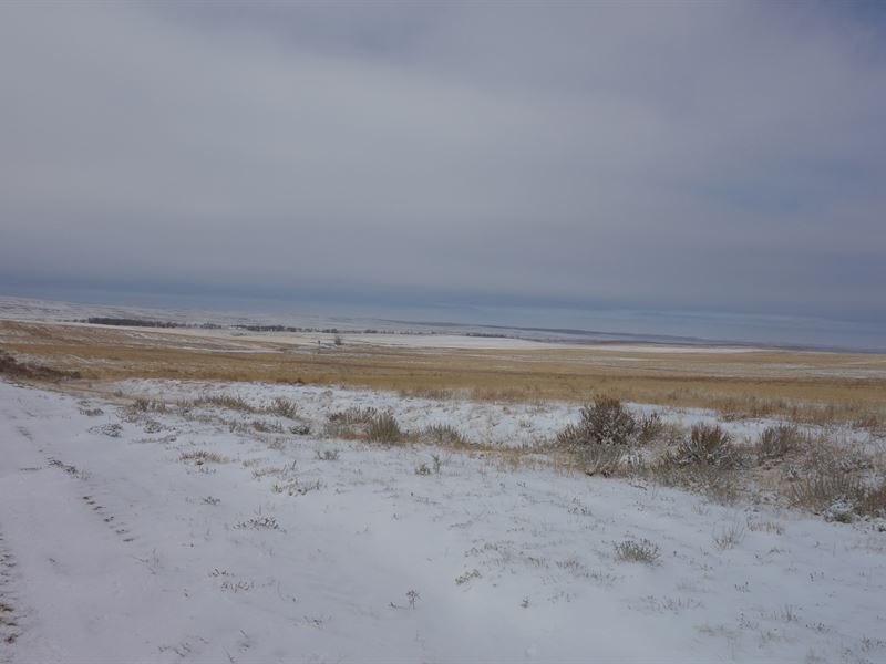Eastern Montana McCone County : Brockway : McCone County : Montana