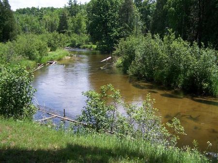 Little Manistee River Cabin : Manistee : Manistee County : Michigan