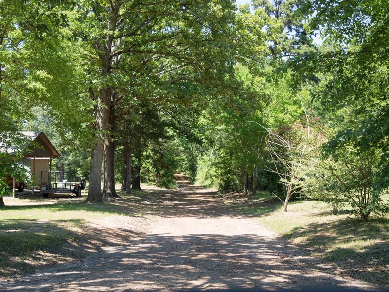 73 Ac Indian Rock : Gilmer : Upshur County : Texas